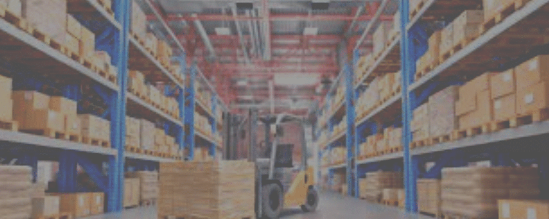 IT Support for Distributor Case Study